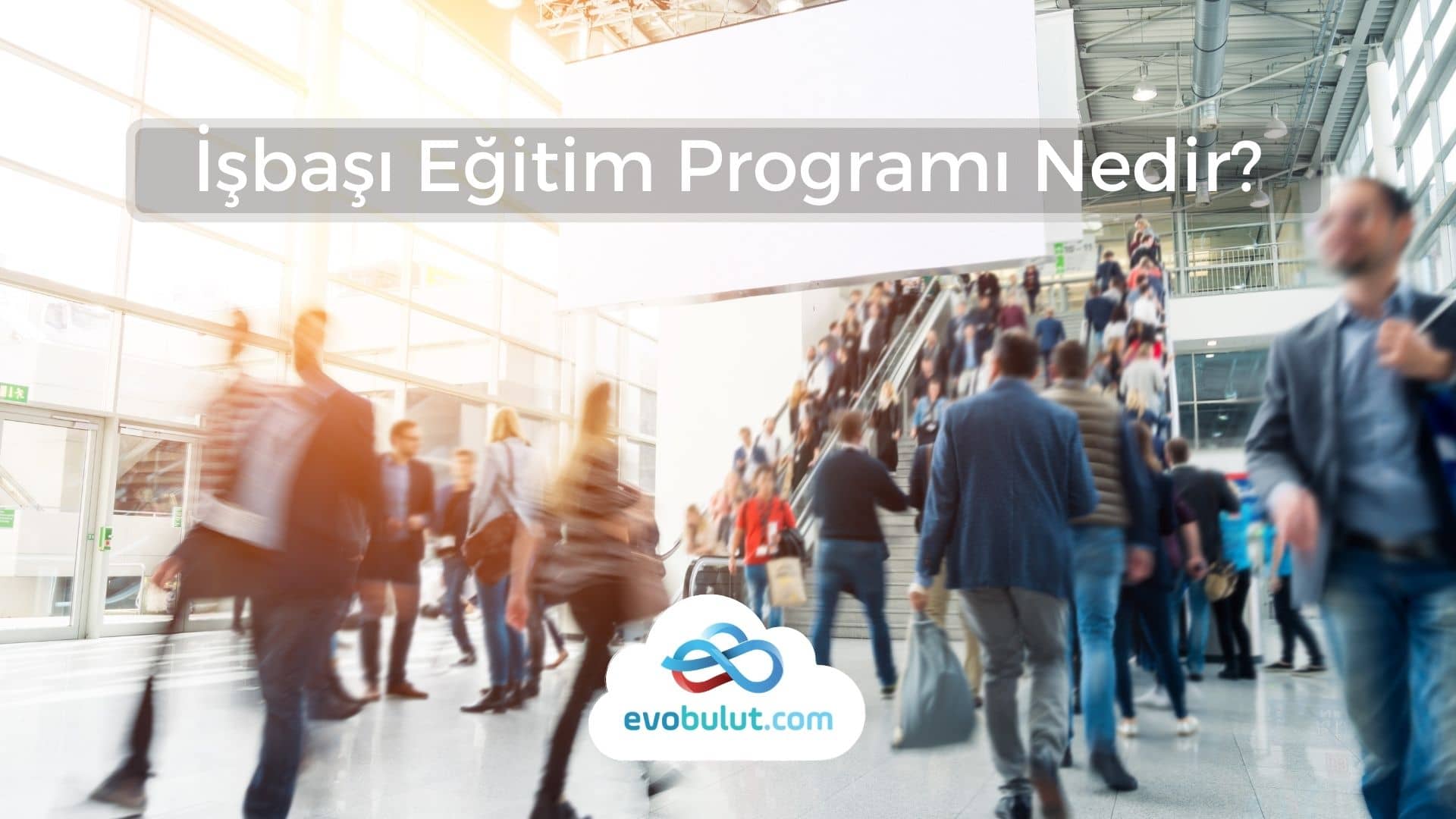 İşbaşı Eğitim Programı Nedir?